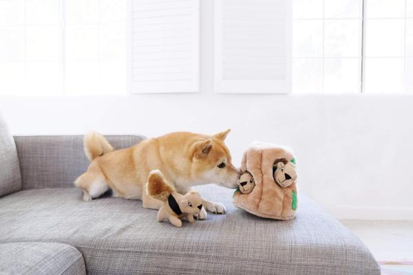 Outward Hound Hide A Squirrel - Gr. L - 3 Squirrel Outward Hound Hide A Squirrel - Gr. L - 3 Squirrel